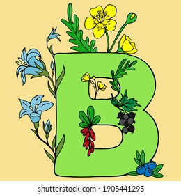 Colorful cute English alphabet for children. Letter B of the English ABC. Alphabet character B for learning for kids, children and baby. Letter for preschool education. Reading, writing, coloring