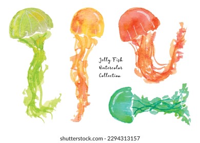 Colorful Cute Jelly Fish Watercolor