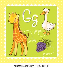 Colorful and cute kids alphabet: letter G.