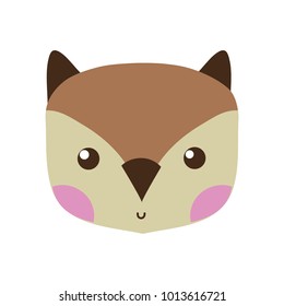 colorful cute owl head wild animal