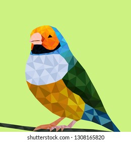 Colorful cute parrot