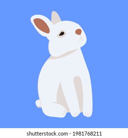 colorful cute rabbit cartoon on white background