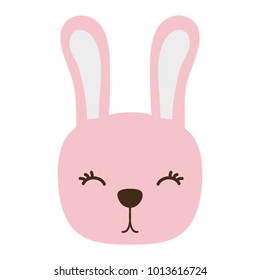 colorful cute rabbit head wild animal