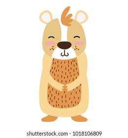 colorful cute and smile bear wild animal