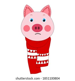 Colorful cute vector pig face in a winter scarf. One object on a white background. Cartoon flat  illustration. Emoji funny pet animal. Embarrassed smile emotion. Template icon, sticker.