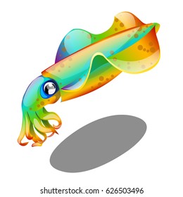 Colorful cuttlefish isolated on white background. Vector cartoon close-up illustration.