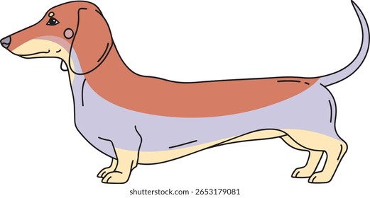 Ilustração de vetor colorida da vista lateral do cão Dachshund no estilo plano mínimo com linhas suaves e design de fundo limpo