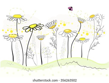 Colorful daisy field in spring time vector illustration