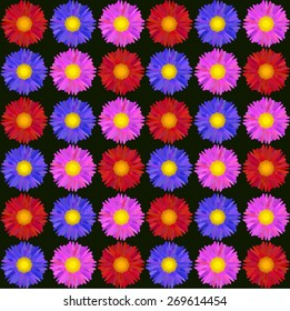 colorful daisy flowers pattern