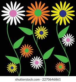 Colorful Daisy flowers pattern on black background. Vector illustration for your design