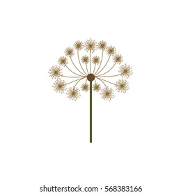 colorful dandelion with stem and pistil