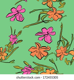 Colorful  day-lily  in my garden. Pattern.