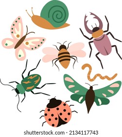 colorful decorated insect collection with bee, ladybug, beetles, moths