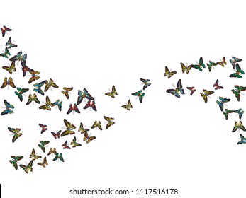 Colorful decorative butterfly silhouette kite texture on white. Spring butterfly hover theme vector in pink, violet, red, blue and purple colors. Repeating insect soar clipart for cover.