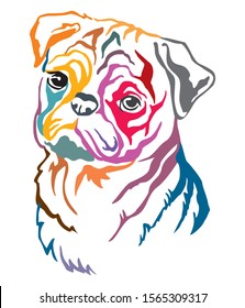 Colorful decorative contour outline portrait of Dog  Pug, vector illustration in different colors isolated on white background. Image for design and tattoo. 