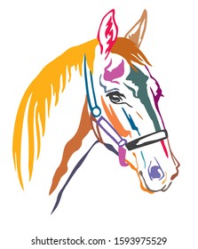 Colorful decorative contour portrait of beautiful racing horse in halter looking in profile, vector illustration in different colors isolated on white background. Image for logo, design and tattoo. 