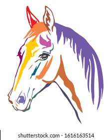 Colorful decorative contour portrait of beautiful horse with long mane, looking  in profile. Vector illustration in different colors isolated on white background. Image for logo, design and tattoo. 