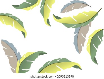 Colorful decorative oak leaves on a white background, falling foliage. Creative template for your design. Vector illustration