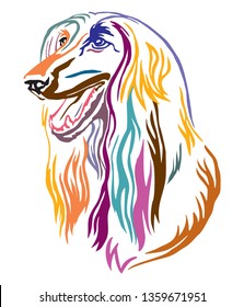 Colorful decorative outline portrait of Afghan Hound Dog looking in profile, vector illustration in different colors isolated on white background. Image for design and tattoo. 