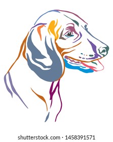 Colorful decorative outline portrait of Bavarian Mountain Hound Dog looking in profile, vector illustration in different colors isolated on white background. Image for design and tattoo. 