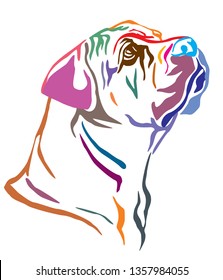 Colorful decorative outline portrait of Boerboel Dog looking in profile, vector illustration in different colors isolated on white background. Image for design and tattoo. 