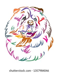 Colorful decorative outline portrait of Chow Chow Dog looking in profile, vector illustration in different colors isolated on white background. Image for design and tattoo. 