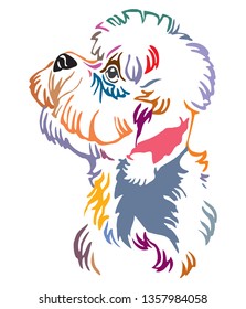 Colorful decorative outline portrait of Dandie Dinmont Terrier Dog looking in profile, vector illustration in different colors isolated on white background. Image for design and tattoo. 