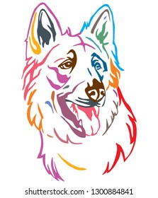 Colorful decorative outline portrait of Dog  Berger Blanc Suisse, vector illustration in different colors isolated on white background. Image for design and tattoo. 