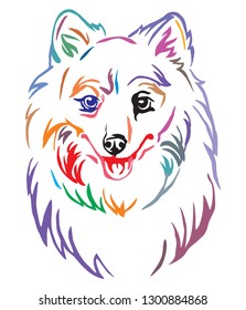 Colorful decorative outline portrait of Dog Japanese Spitz, vector illustration in different colors isolated on white background. Image for design and tattoo. 