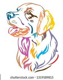 Colorful decorative outline portrait Dog Golden Retriever looking in profile  vector illustration in different colors isolated white background  Image for design   tattoo  