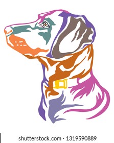 Colorful decorative outline portrait of Dog Labrador Retriever looking in profile, vector illustration in different colors isolated on white background. Image for design and tattoo. 