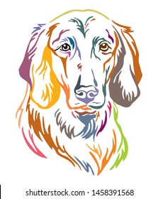 Colorful decorative outline portrait of Longhaired Weimaraner Dog, vector illustration in different colors isolated on white background. Image for design and tattoo. 