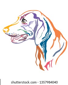 Colorful decorative outline portrait of Weimaraner Dog looking in profile, vector illustration in different colors isolated on white background. Image for design and tattoo. 