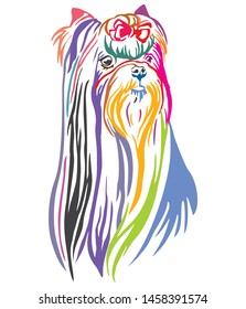 Colorful decorative outline portrait of Yorkshire Terrier Dog, vector illustration in different colors isolated on white background. Image for design and tattoo. 