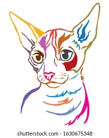 Colorful decorative portrait of Cornish Rex cat, contour vector illustration in different colors isolated on white background. Image for design and tattoo. 