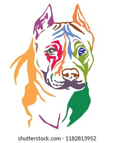 Colorful decorative portrait of dog American Staffordshire Terrier, vector illustration in different colors isolated on white background