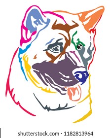 Colorful decorative portrait of dog American akita, vector illustration in different colors isolated on white background