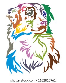 Colorful decorative portrait of dog Australian shepherd, vector illustration in different colors isolated on white background