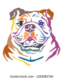 Colorful decorative portrait of Dog Bulldog, vector illustration in different colors isolated on white background. Image for design and tattoo. 