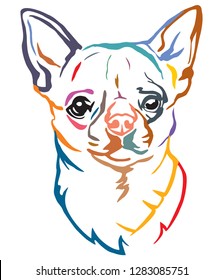 Colorful decorative portrait of Dog Chihuahua, vector illustration in different colors isolated on white background. Image for design and tattoo. 