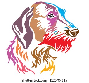 Colorful decorative portrait of Dog German Wirehaired Pointer, vector illustration in different colors isolated on white background. Image for design and tattoo. 