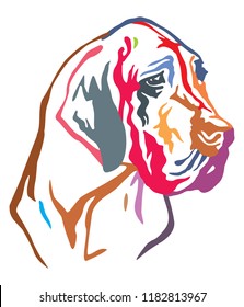 Colorful decorative portrait of dog Great Dane, vector illustration in different colors isolated on white background