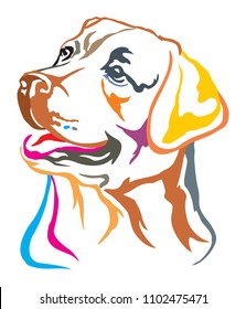 Colorful decorative portrait of dog  Labrador Retriever, vector illustration in different colors isolated on white background