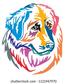 Colorful decorative portrait of Dog Leonberger, vector illustration in different colors isolated on white background. Image for design and tattoo. 