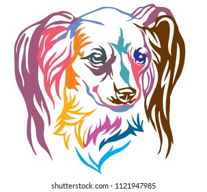 Colorful decorative portrait of Dog Long haired Russian Toy Terrier, vector illustration in different colors isolated on white background. Image for design and tattoo. 