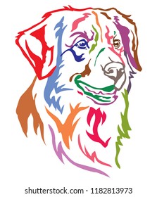 Colorful decorative portrait of dog Nova Scotia Duck Tolling Retriever, vector illustration in different colors isolated on white background