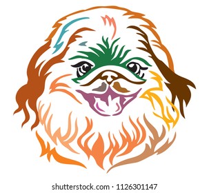 Colorful decorative portrait of Dog Pekingese, vector illustration in different colors isolated on white background. Image for design and tattoo. 