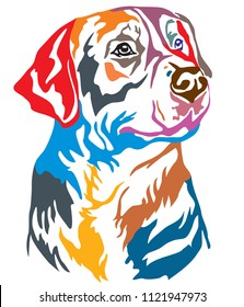 Colorful decorative portrait of Greater Swiss Mountain Dog, vector illustration in different colors isolated on white background. Image for design and tattoo. 