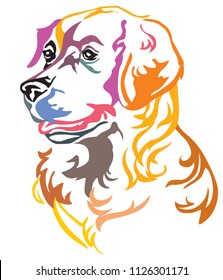 Colorful decorative portrait in profile of Dog Golden Retriever, vector illustration in different colors isolated on white background. Image for design and tattoo. 