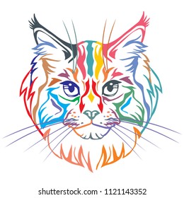 Colorful decorative portrait in profile of Maine Coon Cat, contour vector isolated illustration in black color on white background